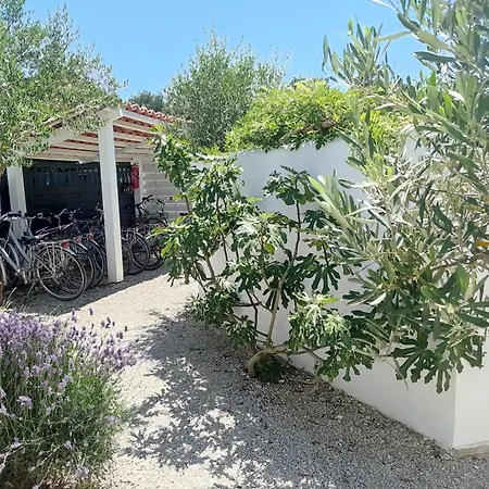 Le Clos Des Pins - Ile De Re בית נופש